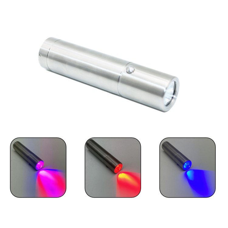 Heim-Gesichtspflegegerät: Trag – Skincare Bewertung und Preis